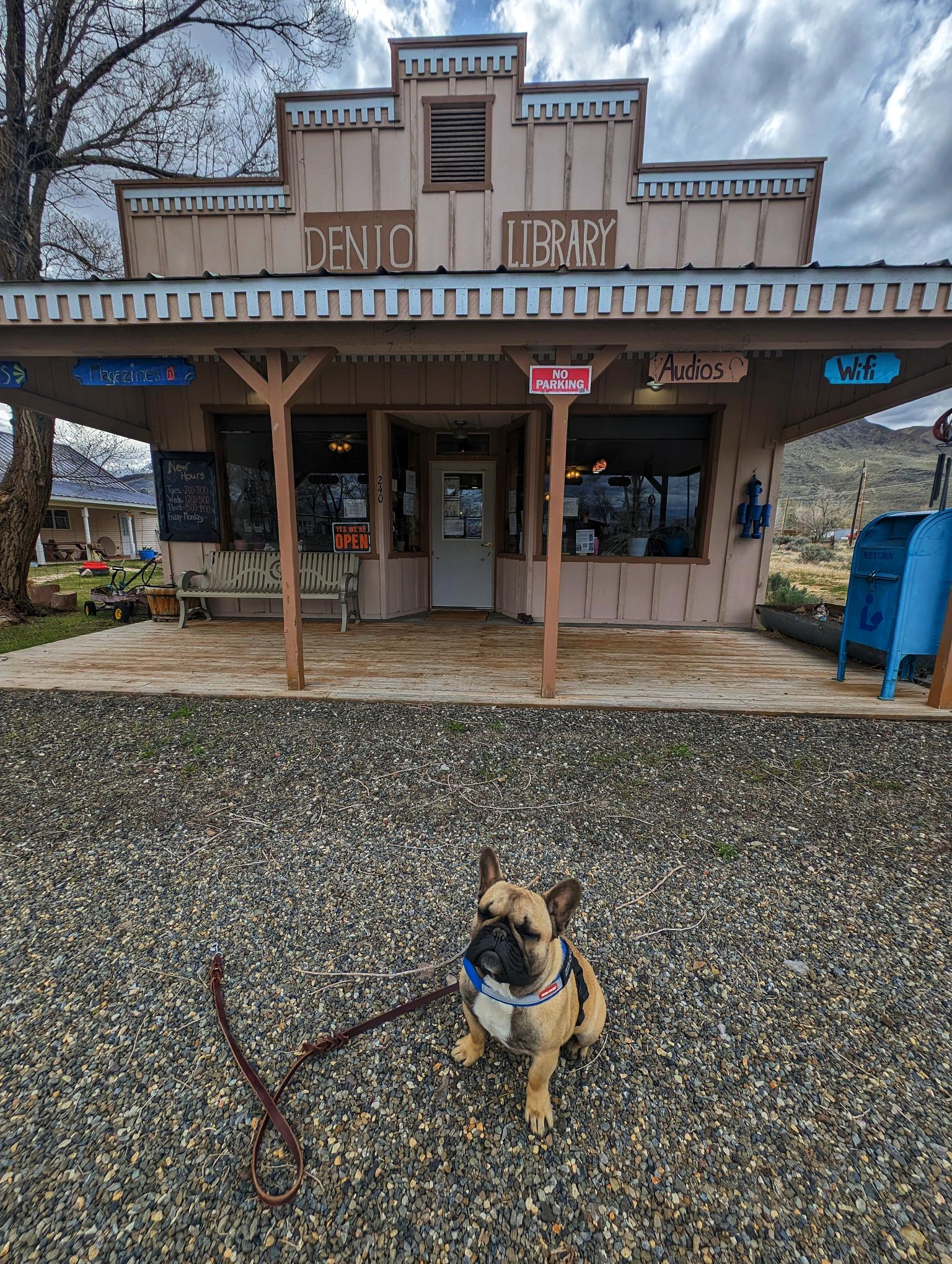 Denio Branch library front, featuring an french bull dog