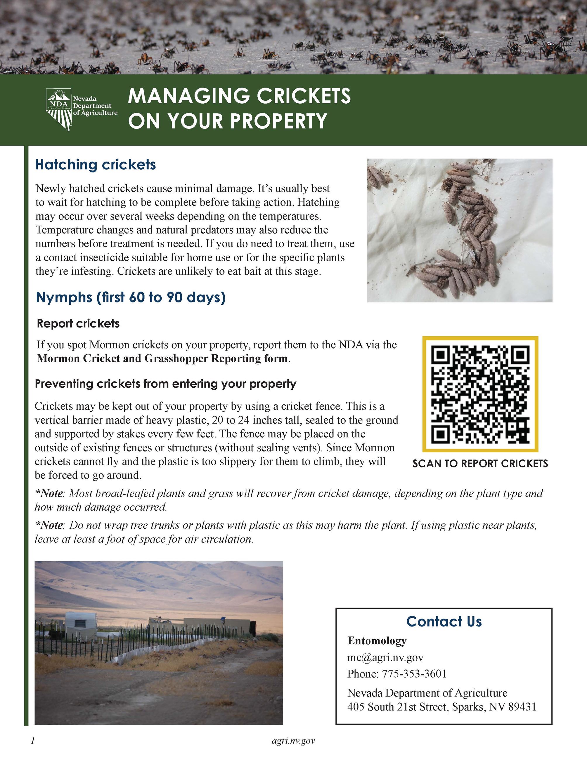 Managing Crickets on Your Property_Page_1