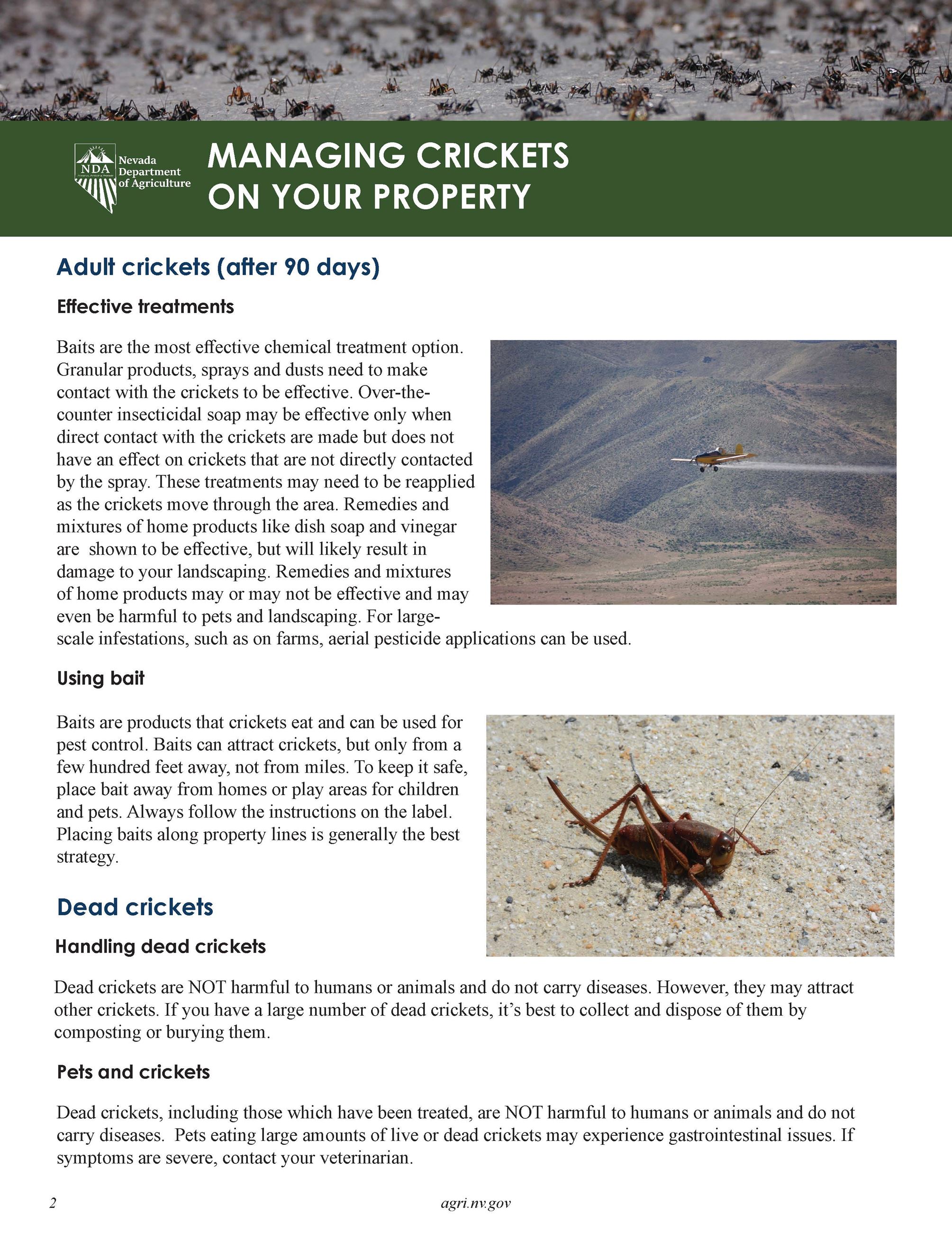 Managing Crickets on Your Property_Page_2